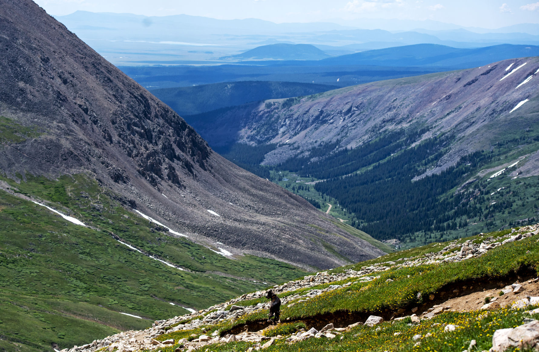 Mount Democrat 17 .JPG